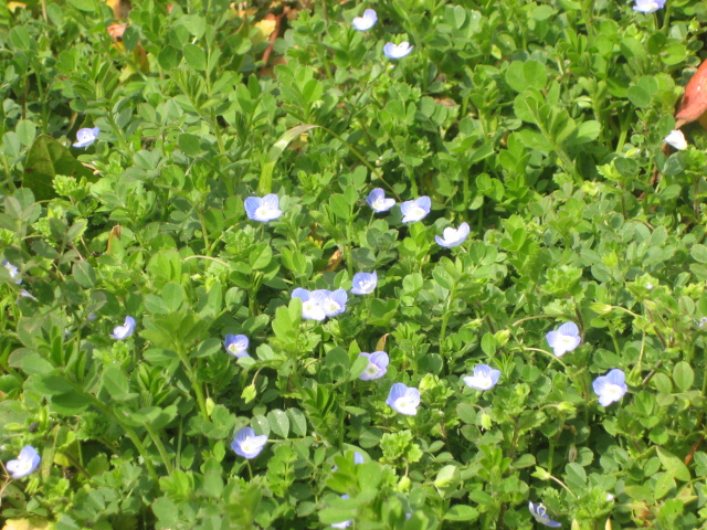 d0152578_9212472.jpg