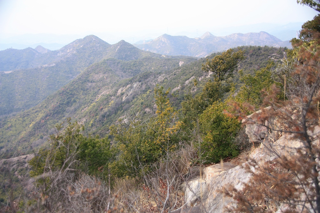e0024081_1642725.jpg
