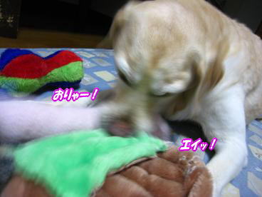 c0028792_2154591.jpg