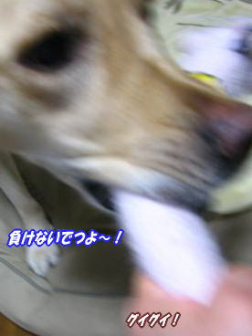 c0028792_21552035.jpg
