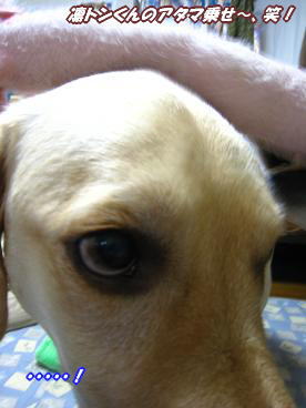 c0028792_21553714.jpg
