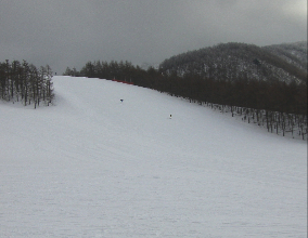 c0151898_1432785.jpg