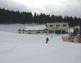c0151898_1433818.jpg