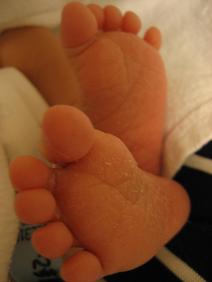 c0136400_18163446.jpg