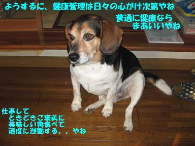 d0104209_22201527.jpg