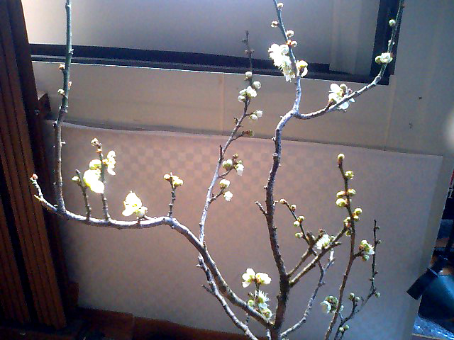 a0101715_22334296.jpg