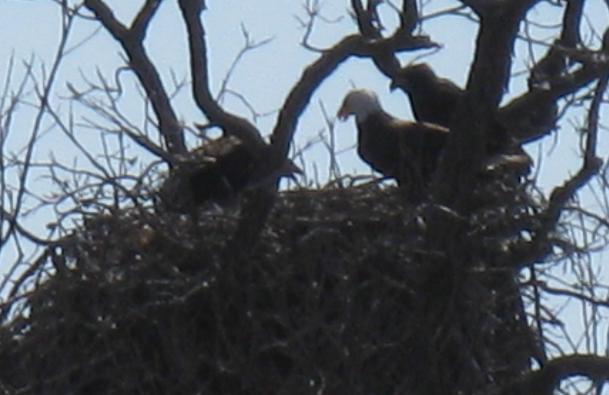f0195618_92348.jpg