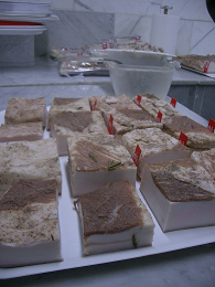 c0086221_16473270.jpg