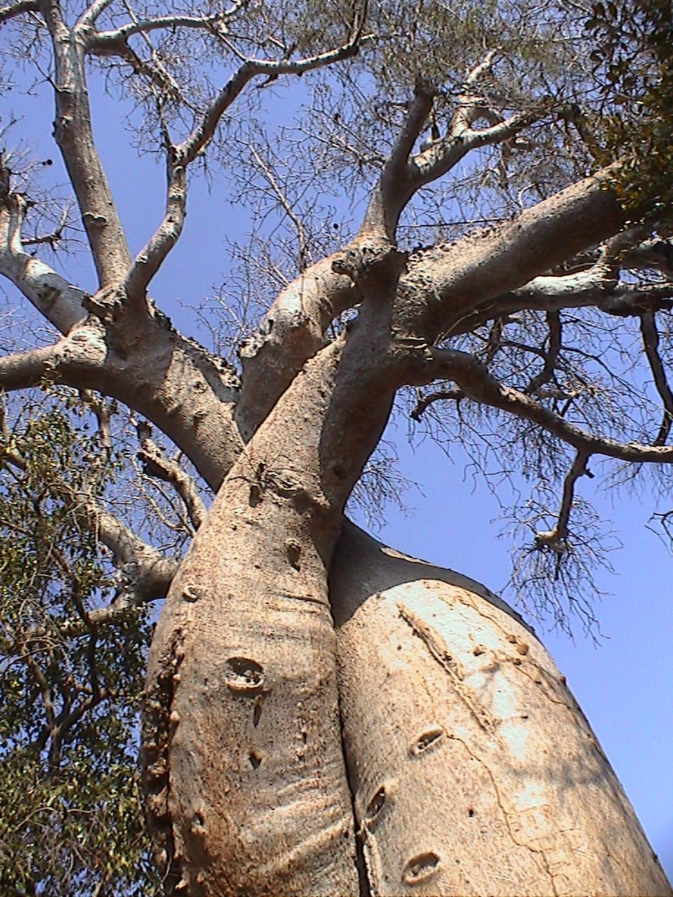e0055023_0115695.jpg