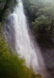 c0131727_17492742.jpg