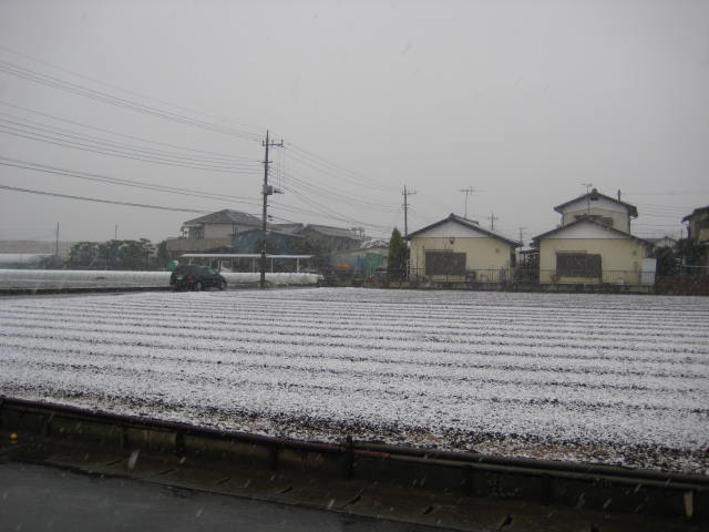 e0166032_2027823.jpg