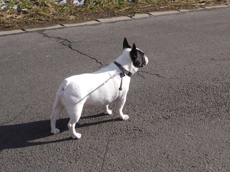 e0008833_14181217.jpg