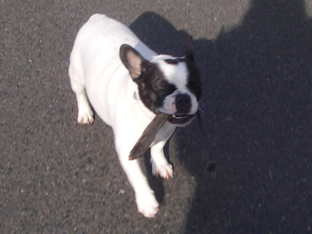 e0008833_14282181.jpg