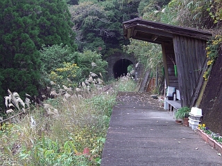 b0029438_0572364.jpg