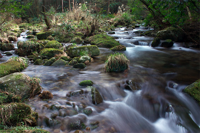 e0083238_2054514.jpg