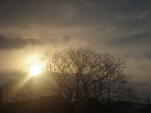 c0153444_7163369.jpg