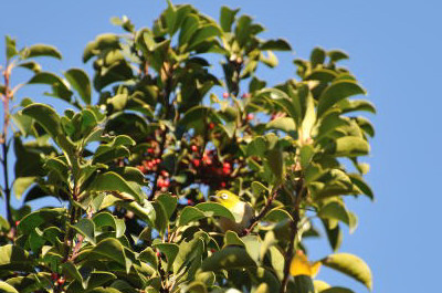 e0138546_21305193.jpg