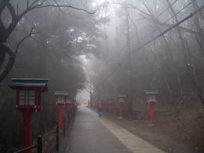 d0000547_1504234.jpg