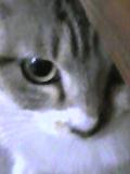 f0126060_1775211.jpg