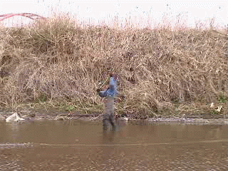 f0084561_16425278.gif