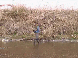 f0084561_1643573.gif
