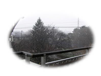 b0059664_11194826.jpg