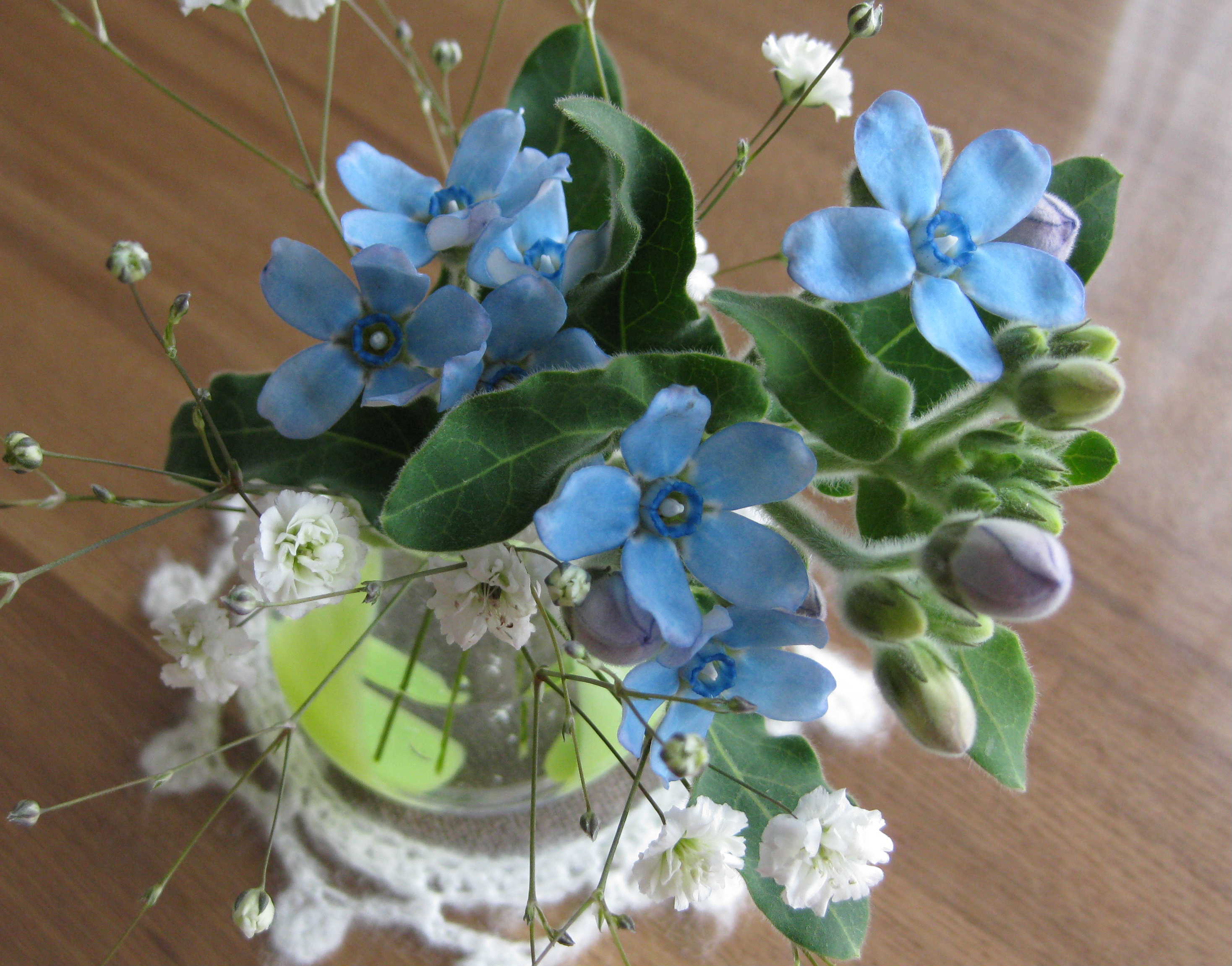 c0148165_2312188.jpg