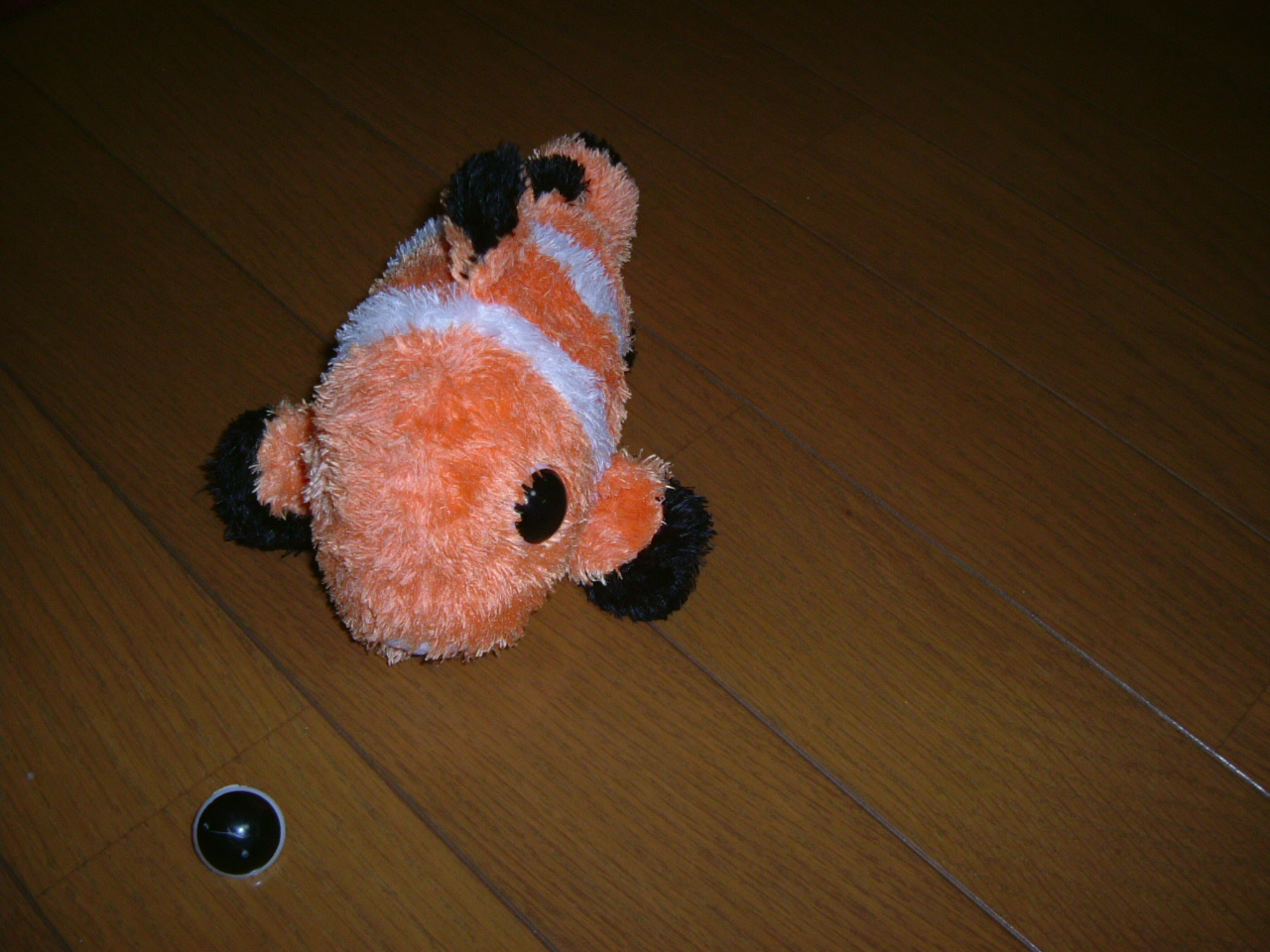 c0082567_031561.jpg
