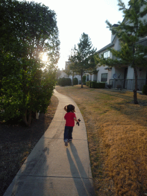 f0186671_13399.gif