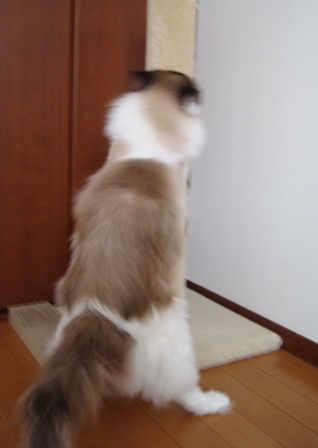 e0025872_20113855.jpg