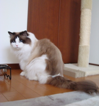 e0025872_20134641.jpg