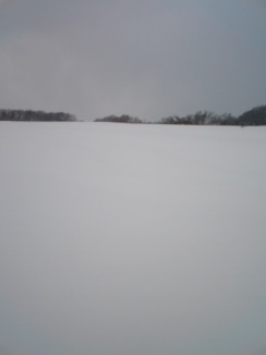 b0117375_23415087.jpg