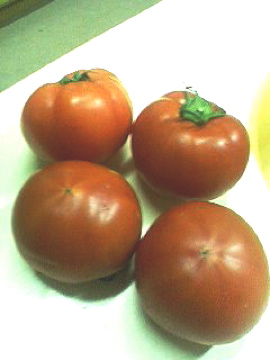 f0054677_14222359.jpg
