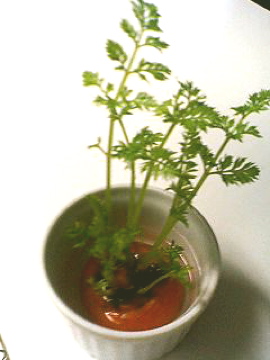f0054677_14225452.jpg