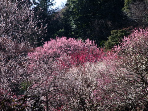 a0043982_2321952.jpg