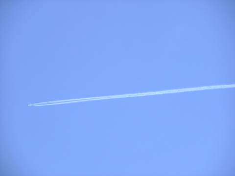 a0043982_2322994.jpg