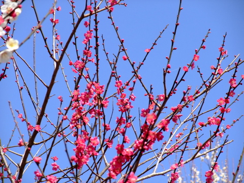 a0043982_232349.jpg
