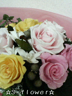 a0101000_1623579.jpg
