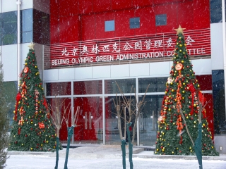 c0153302_13414271.jpg