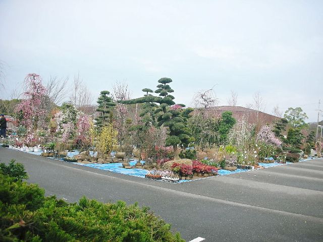 f0035506_710592.jpg