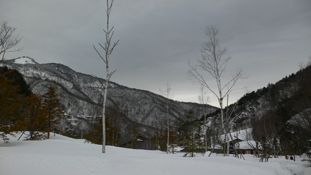 f0167007_918187.jpg