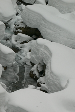 f0167007_933152.jpg
