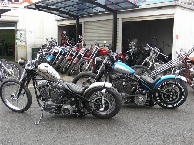 f0020508_1053019.jpg