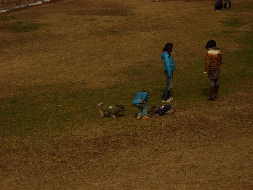 d0127716_23504949.jpg