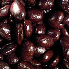 c0036617_18255059.jpg