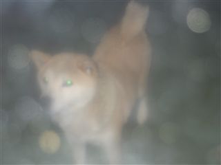 f0078320_13475460.jpg
