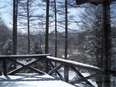b0034422_17245132.jpg