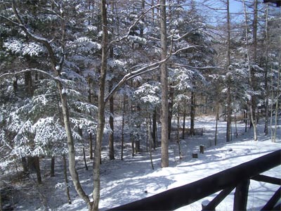 b0034422_172528.jpg