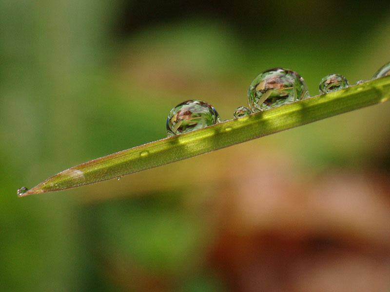 d0089024_13104164.jpg