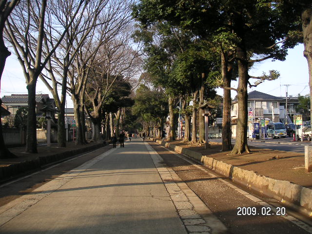 a0020929_19515331.jpg
